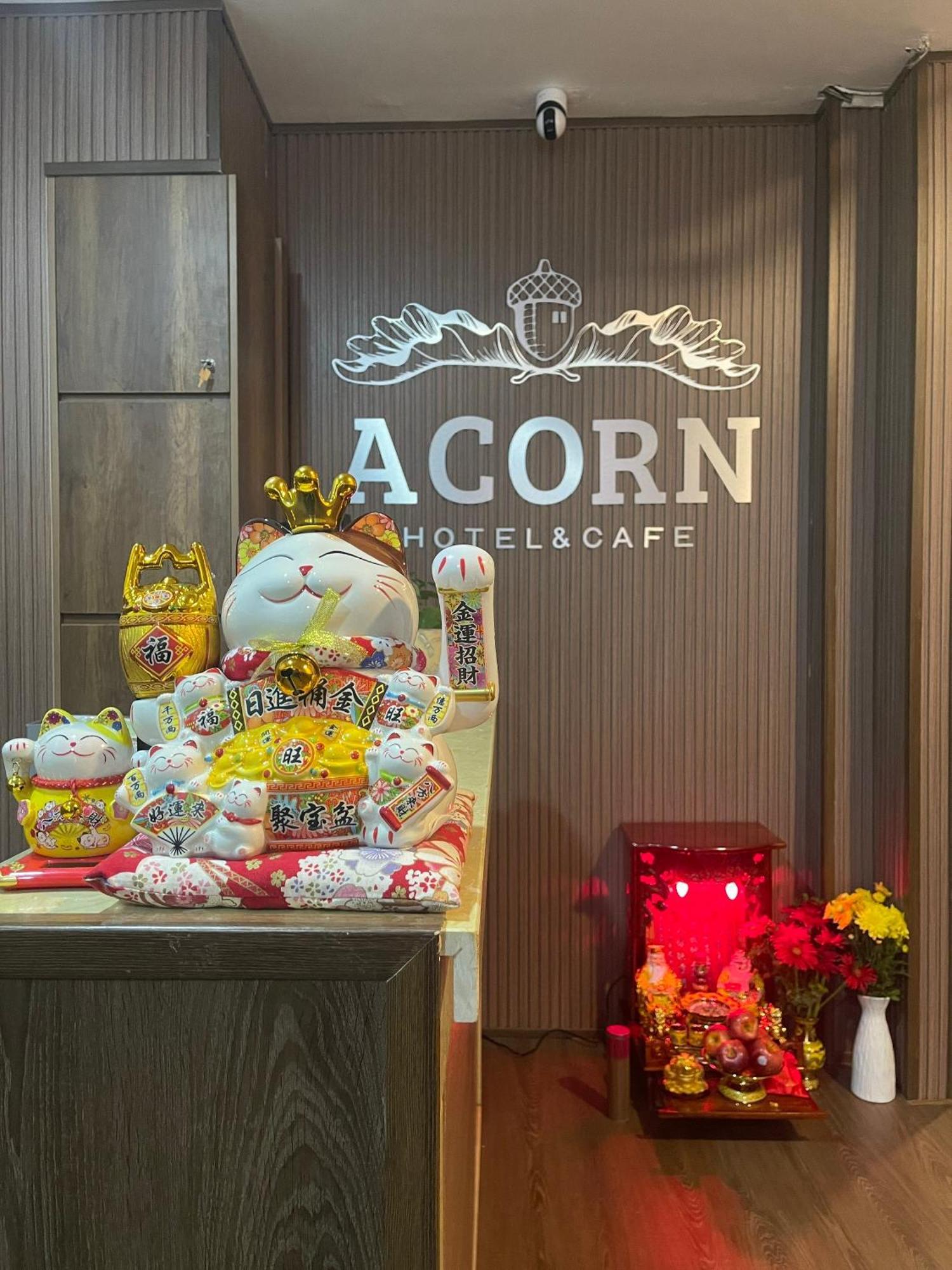 Acorn 2*